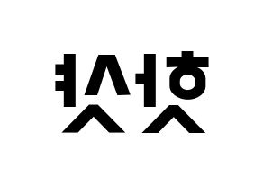 KPOP idol HOTSHOT Printable Hangul Fansign concert board resources Reversed