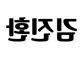 KPOP idol iKON  김진환 (Kim Jin-hwan, Jinhwan) Printable Hangul name fan sign, fanboard resources for light sticks Reversed