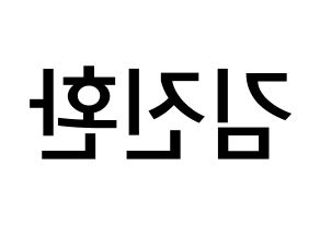 KPOP idol iKON  김진환 (Kim Jin-hwan, Jinhwan) Printable Hangul name Fansign Fanboard resources for concert Reversed