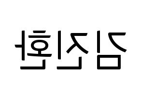 KPOP idol iKON  김진환 (Kim Jin-hwan, Jinhwan) Printable Hangul name fan sign, fanboard resources for light sticks Reversed
