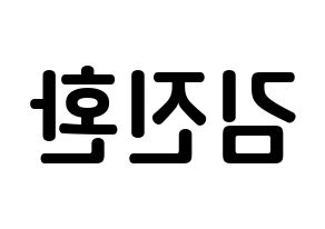 KPOP idol iKON  김진환 (Kim Jin-hwan, Jinhwan) Printable Hangul name fan sign, fanboard resources for concert Reversed