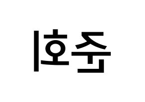 KPOP idol iKON  구준회 (Koo Jun-hoe, JU-NE) Printable Hangul name Fansign Fanboard resources for concert Reversed