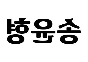 KPOP idol iKON  송윤형 (Song Yun-hyeong, Yunhyeong) Printable Hangul name fan sign, fanboard resources for light sticks Reversed