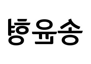 KPOP idol iKON  송윤형 (Song Yun-hyeong, Yunhyeong) Printable Hangul name fan sign, fanboard resources for concert Reversed