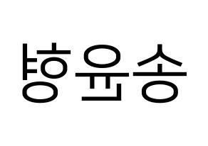 KPOP idol iKON  송윤형 (Song Yun-hyeong, Yunhyeong) Printable Hangul name fan sign, fanboard resources for LED Reversed