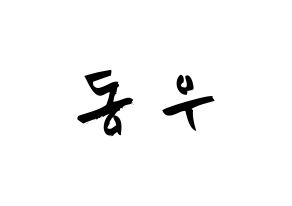 KPOP idol INFINITE  동우 (Jang Dong-woo, Dongwoo) Printable Hangul name fan sign & fan board resources Normal