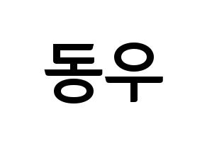 KPOP idol INFINITE  동우 (Jang Dong-woo, Dongwoo) Printable Hangul name fan sign, fanboard resources for concert Normal