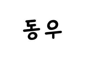 KPOP idol INFINITE  동우 (Jang Dong-woo, Dongwoo) Printable Hangul name fan sign, fanboard resources for light sticks Normal