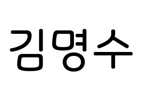 KPOP idol INFINITE  엘 (Kim Myung-soo, L) Printable Hangul name Fansign Fanboard resources for concert Normal