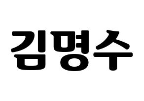 KPOP idol INFINITE  엘 (Kim Myung-soo, L) Printable Hangul name fan sign, fanboard resources for light sticks Normal
