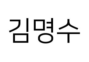 KPOP idol INFINITE  엘 (Kim Myung-soo, L) Printable Hangul name fan sign, fanboard resources for LED Normal