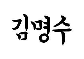 KPOP idol INFINITE  엘 (Kim Myung-soo, L) Printable Hangul name fan sign, fanboard resources for concert Normal