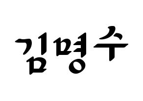 KPOP idol INFINITE  엘 (Kim Myung-soo, L) Printable Hangul name fan sign, fanboard resources for LED Normal