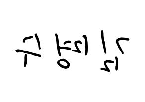 KPOP idol INFINITE  엘 (Kim Myung-soo, L) Printable Hangul name fan sign, fanboard resources for concert Reversed