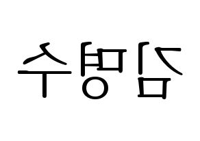 KPOP idol INFINITE  엘 (Kim Myung-soo, L) Printable Hangul name fan sign & fan board resources Reversed
