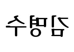 KPOP idol INFINITE  엘 (Kim Myung-soo, L) Printable Hangul name fan sign, fanboard resources for LED Reversed