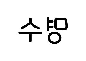 KPOP idol INFINITE  엘 (Kim Myung-soo, L) Printable Hangul name Fansign Fanboard resources for concert Reversed