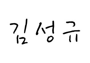 KPOP idol INFINITE  성규 (Kim Sung-kyu, Sungkyu) Printable Hangul name fan sign, fanboard resources for concert Normal