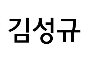 KPOP idol INFINITE  성규 (Kim Sung-kyu, Sungkyu) Printable Hangul name Fansign Fanboard resources for concert Normal
