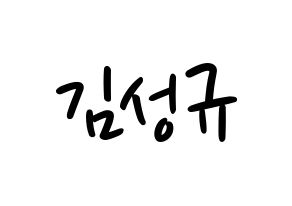 KPOP idol INFINITE  성규 (Kim Sung-kyu, Sungkyu) Printable Hangul name fan sign, fanboard resources for LED Normal