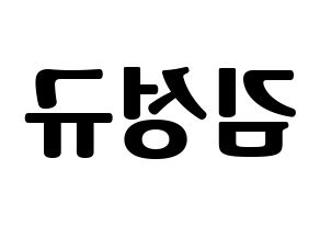 KPOP idol INFINITE  성규 (Kim Sung-kyu, Sungkyu) Printable Hangul name fan sign, fanboard resources for light sticks Reversed