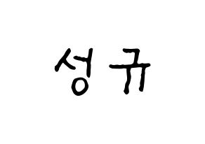 KPOP idol INFINITE  성규 (Kim Sung-kyu, Sungkyu) Printable Hangul name fan sign, fanboard resources for concert Normal