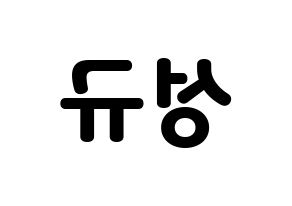 KPOP idol INFINITE  성규 (Kim Sung-kyu, Sungkyu) Printable Hangul name fan sign & fan board resources Reversed