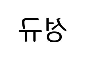 KPOP idol INFINITE  성규 (Kim Sung-kyu, Sungkyu) Printable Hangul name fan sign, fanboard resources for LED Reversed