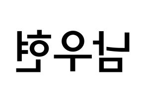 KPOP idol INFINITE  우현 (Nam Woo-hyun, Woohyun) Printable Hangul name Fansign Fanboard resources for concert Reversed