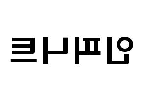 KPOP idol INFINITE Printable Hangul fan sign & concert board resources Reversed