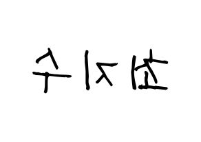 KPOP idol ITZY  리아 (Choi Ji-Soo, Lia) Printable Hangul name fan sign, fanboard resources for light sticks Reversed