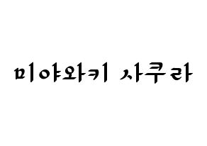 KPOP idol IZ*ONE  미야와키 사쿠라 (Miyawaki Sakura, Miyawaki Sakura) Printable Hangul name fan sign, fanboard resources for LED Normal