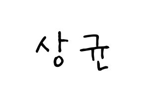 KPOP idol JBJ95  김상균 (Kim Sang-gyun, Kim Sang-gyun) Printable Hangul name fan sign, fanboard resources for concert Normal