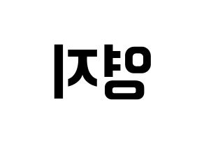 KPOP idol KARA  허영지 (Hur Young-Ji, Youngji) Printable Hangul name fan sign, fanboard resources for concert Reversed