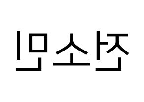 KPOP idol KARD  전소민 (Jeon So-min, Somin) Printable Hangul name fan sign, fanboard resources for LED Reversed