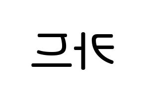 KPOP idol KARD Printable Hangul Fansign Fanboard resources Reversed
