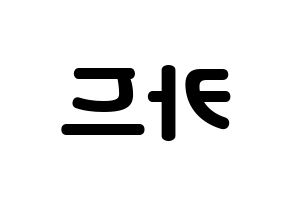 KPOP idol KARD Printable Hangul fan sign & concert board resources Reversed