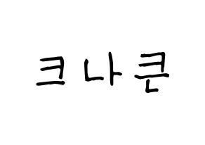 KPOP idol KNK Printable Hangul Fansign concert board resources Normal