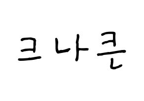KPOP idol KNK Printable Hangul fan sign, concert board resources for light sticks Normal