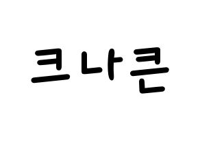 KPOP idol KNK Printable Hangul Fansign concert board resources Normal