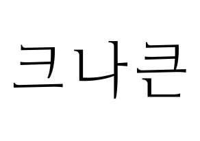 KPOP idol KNK Printable Hangul fan sign & concert board resources Normal