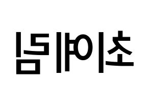 KPOP idol LOONA  최리 (Choi Ye-rim, Choerry) Printable Hangul name Fansign Fanboard resources for concert Reversed