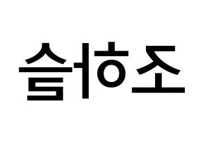 KPOP idol LOONA  하슬 (Jo Ha-seul, HaSeul) Printable Hangul name Fansign Fanboard resources for concert Reversed