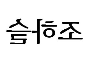 KPOP idol LOONA  하슬 (Jo Ha-seul, HaSeul) Printable Hangul name fan sign, fanboard resources for LED Reversed