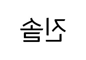 KPOP idol LOONA  진솔 (Jung Jin-soul, JinSoul) Printable Hangul name fan sign, fanboard resources for light sticks Reversed