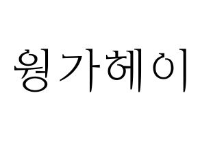 KPOP idol LOONA  비비 (Wong Ga-hei, ViVi) Printable Hangul name fan sign & fan board resources Normal