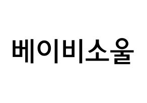 KPOP idol LOVELYZ  베이비소울 (Lee Su-jeong, Babysoul) Printable Hangul name Fansign Fanboard resources for concert Normal