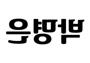 KPOP idol LOVELYZ  진 (Park Myung-eun, JIN) Printable Hangul name fan sign, fanboard resources for light sticks Reversed