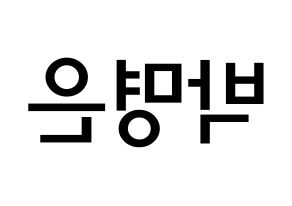 KPOP idol LOVELYZ  진 (Park Myung-eun, JIN) Printable Hangul name Fansign Fanboard resources for concert Reversed
