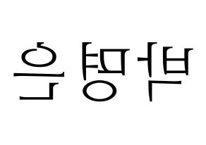 KPOP idol LOVELYZ  진 (Park Myung-eun, JIN) Printable Hangul name fan sign & fan board resources Reversed